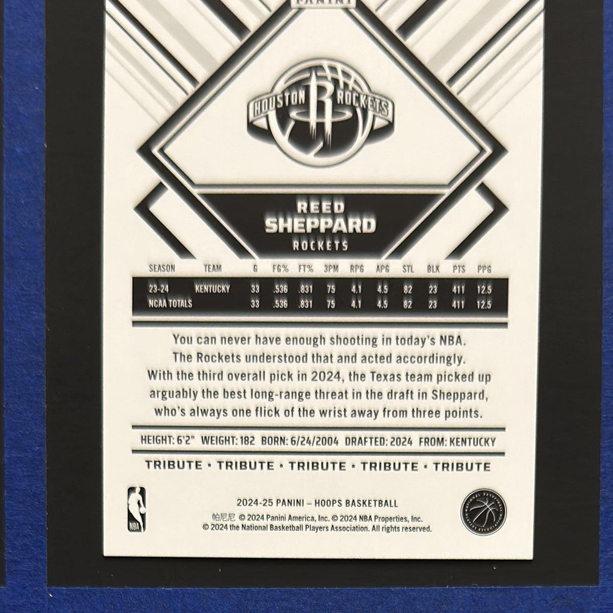 2024-25 Panini NBA Hoops Tribute Reed Sheppard RC #291 — back view