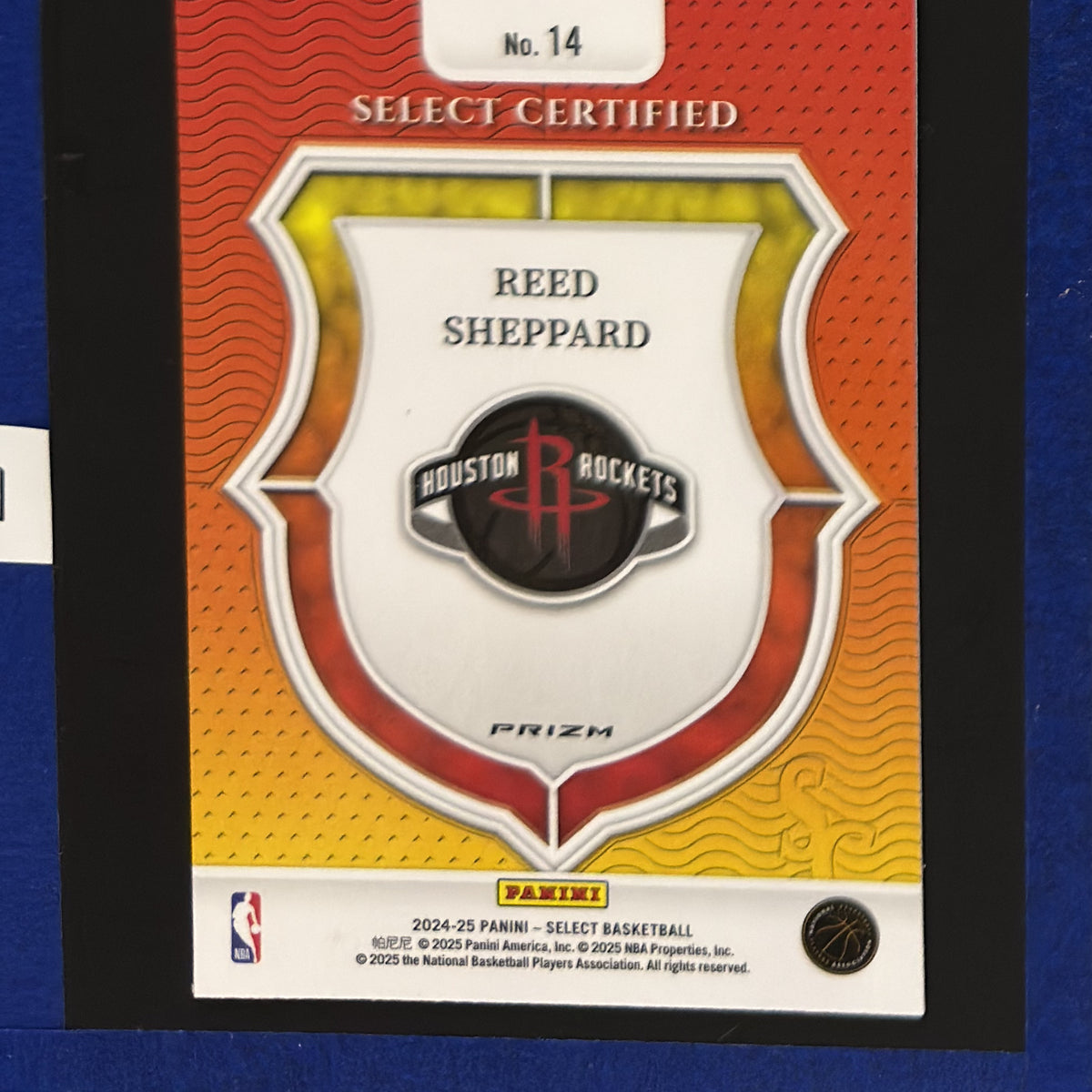 2024-25 Panini Select Select Certified Silver Flash/Ray Wave Reed Sheppard RC #14 — back view