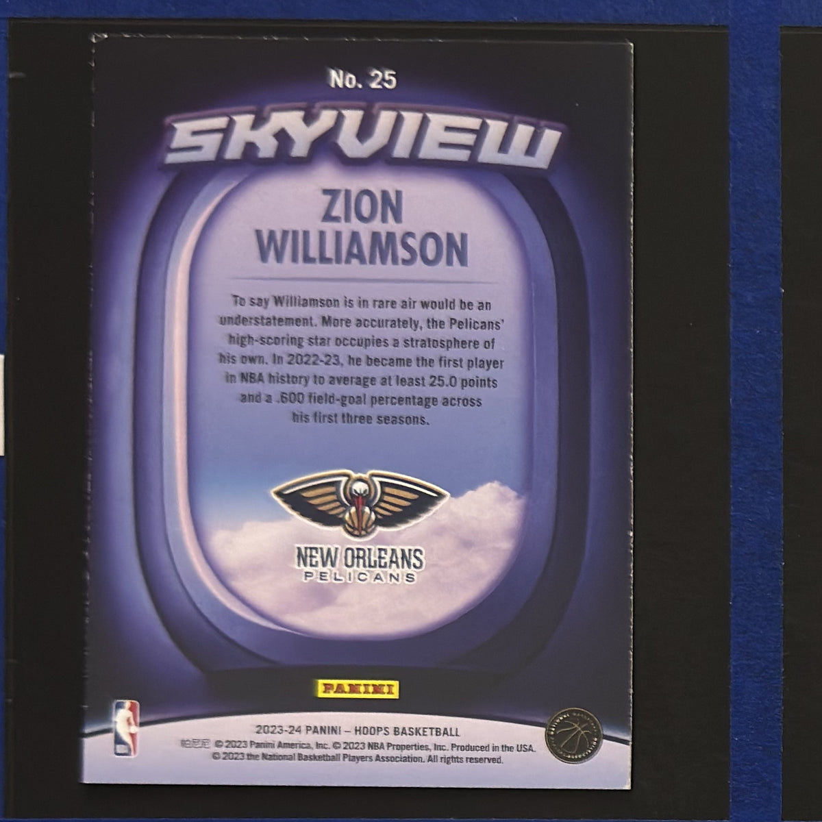 2023-24 Panini NBA Hoops Skyview Zion Williamson #25 — back view