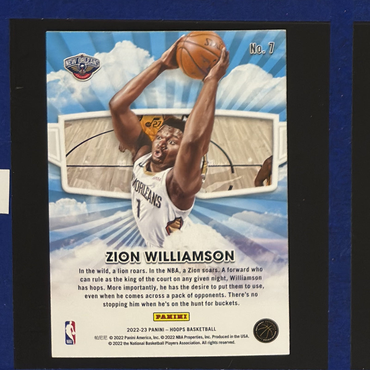 2022-23 Panini NBA Hoops Skyview Zion Williamson #7 — back view