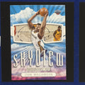 2022-23 Panini NBA Hoops Skyview Zion Williamson #7 — front view
